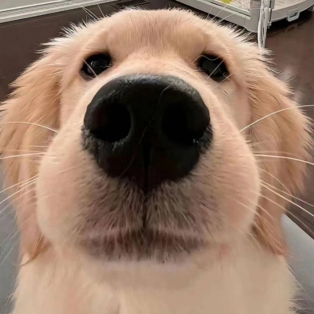 墨尔本city 1b1b转租 包bill