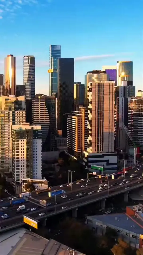 猫本也是好起来了