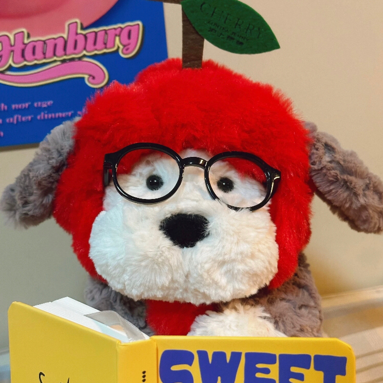 利兹2xx带独立洗衣机的studio还包bill❗️