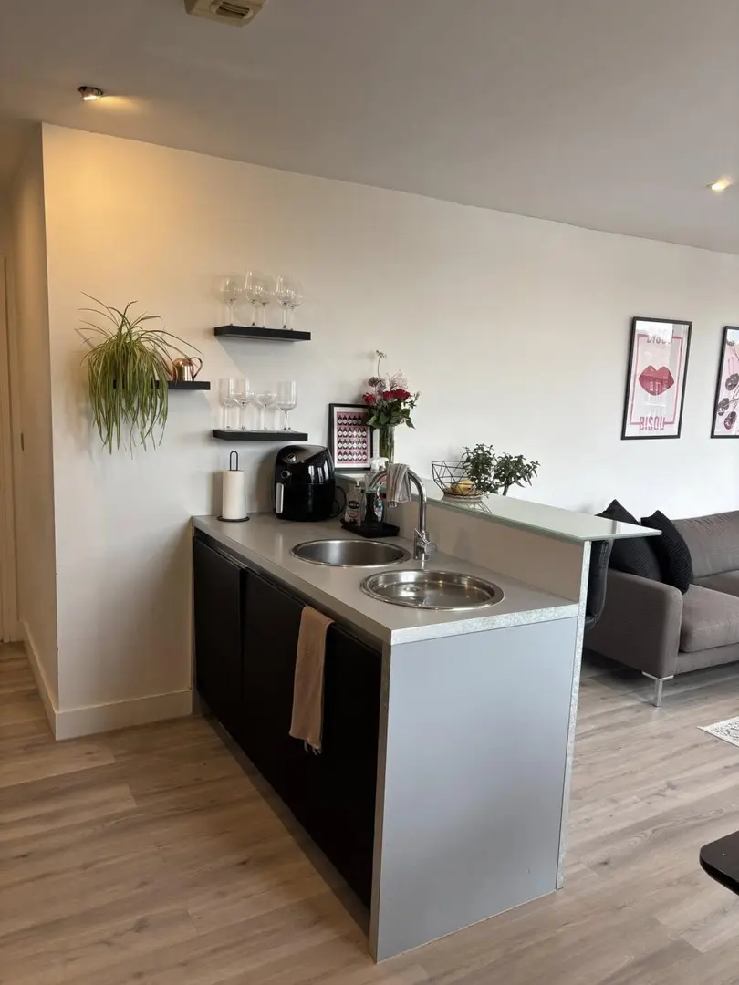 伦敦Stratford转租1b1b，温馨小窝