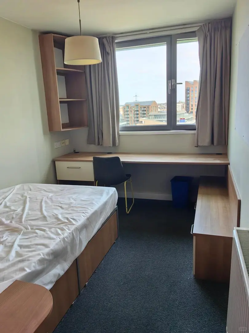 伦敦UCL三人间拼室友🌟200➕