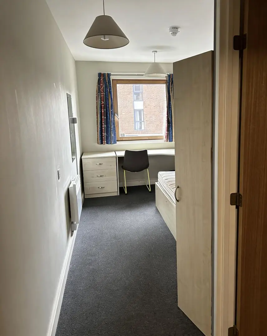 UCL旁5人间拼全华人女室友，368p二等三！！