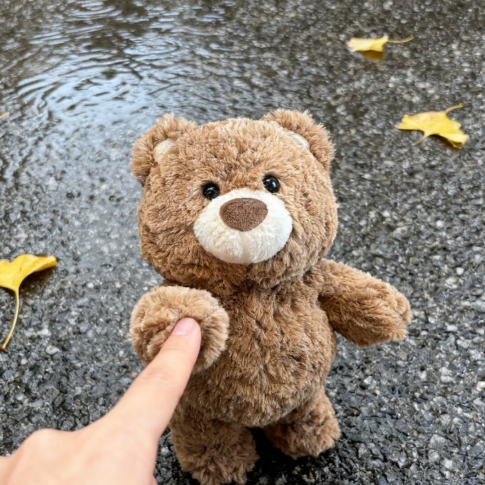 伦敦Islington带露台+大阁楼｜289pw