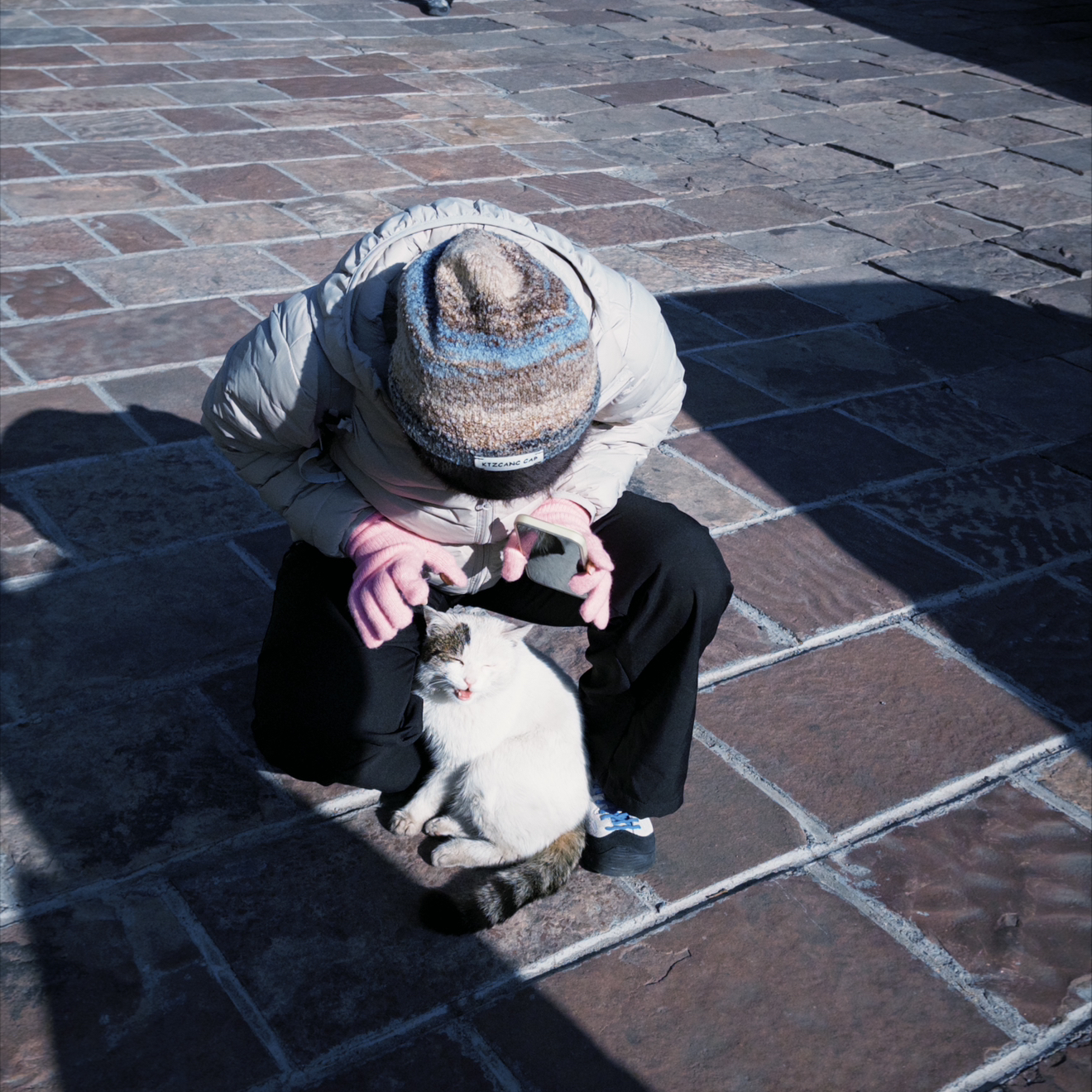 转租悉尼网红公寓楼🔥