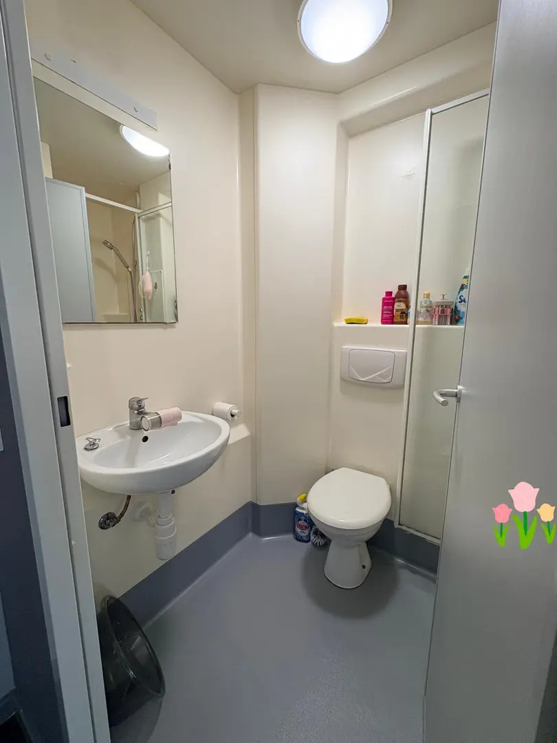 不挑了，利兹148pw拼室友，包水电网费