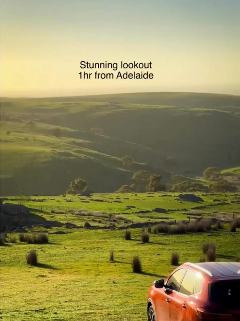 帕尔默观景台（Palmer Lookout