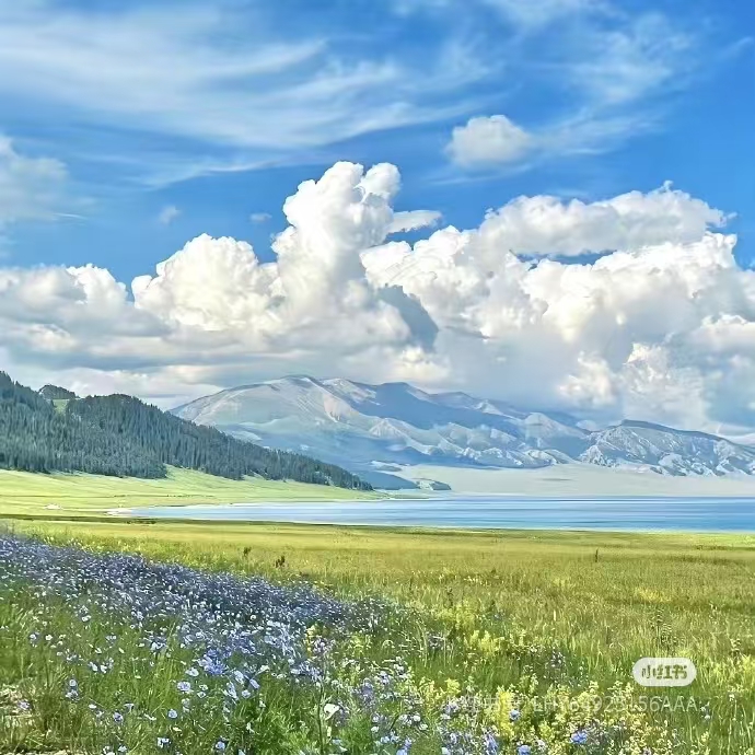 歡迎來到天使之城🌴
