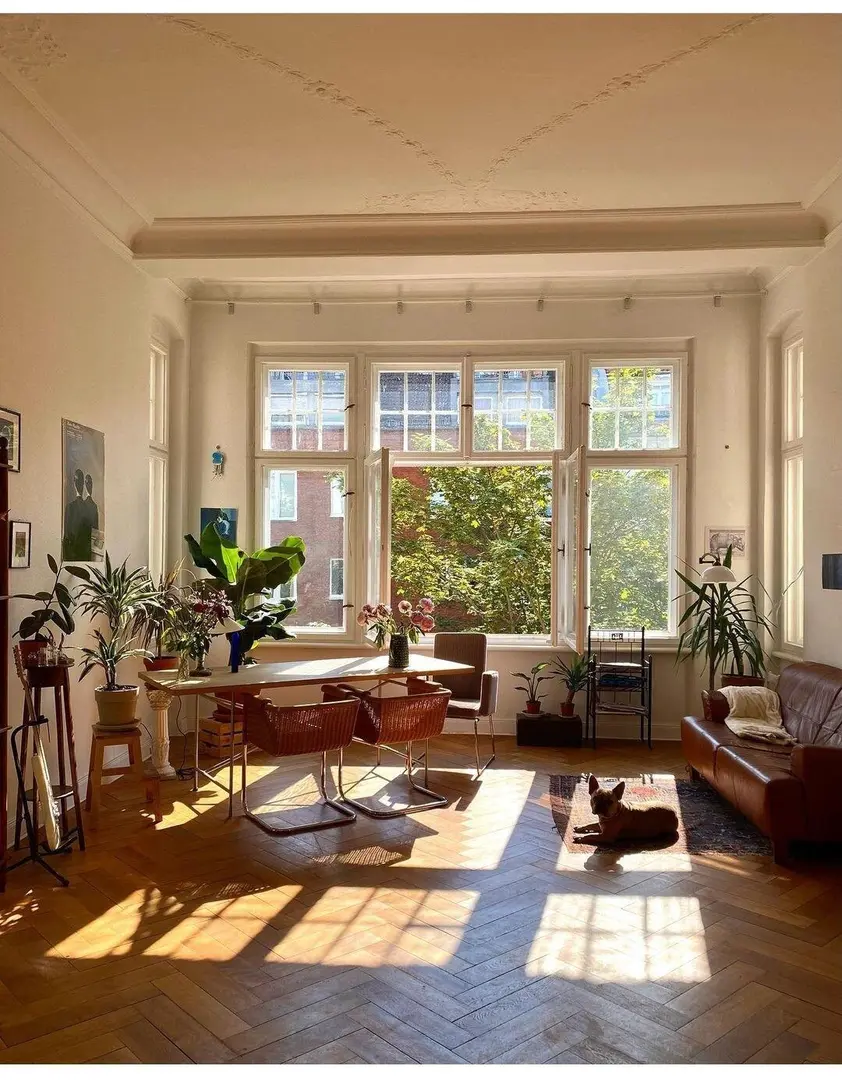 伦敦狗岛阳光房1b1b找下一任租客～