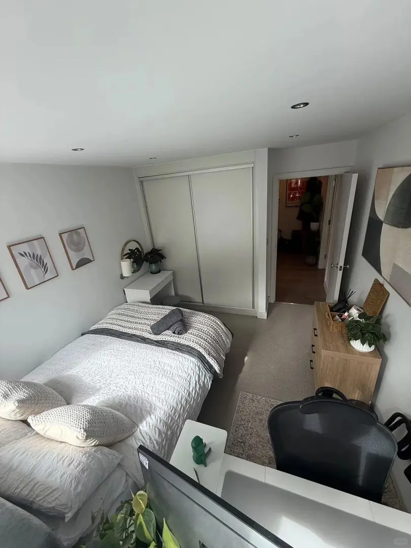 布里斯托房东直租2b2b｜宠物友好带洗烘