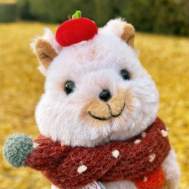 悉尼☀️阳光房独居小窝找人接～