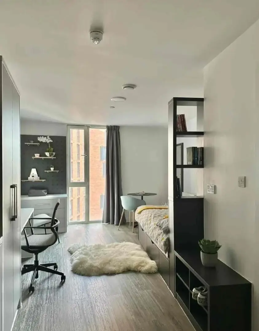 伦敦东一区高层落地窗，地铁18分钟直达ucl