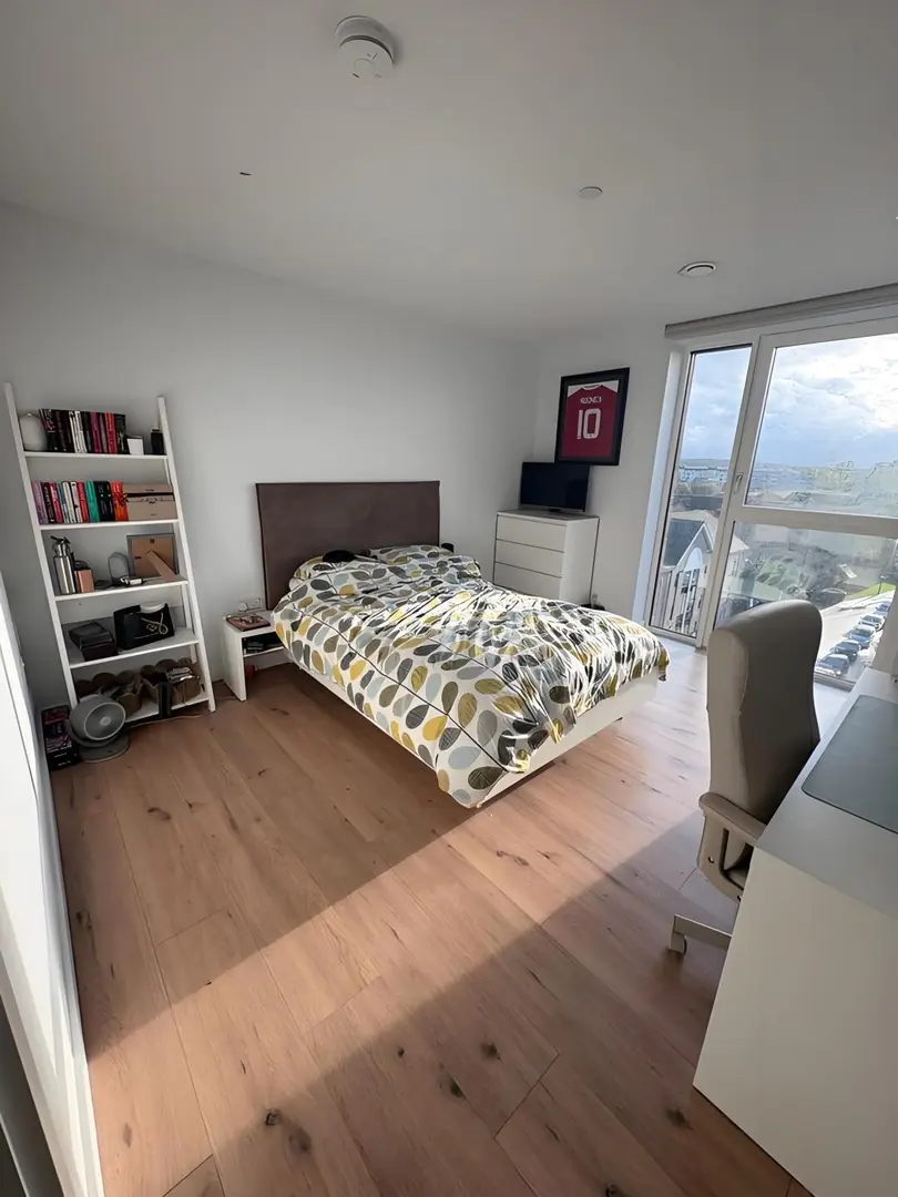 伦敦房东直租 2b2b，200+ppw