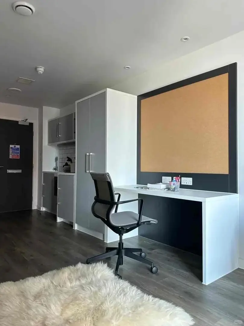 伦敦东一区高层落地窗，地铁18分钟直达ucl