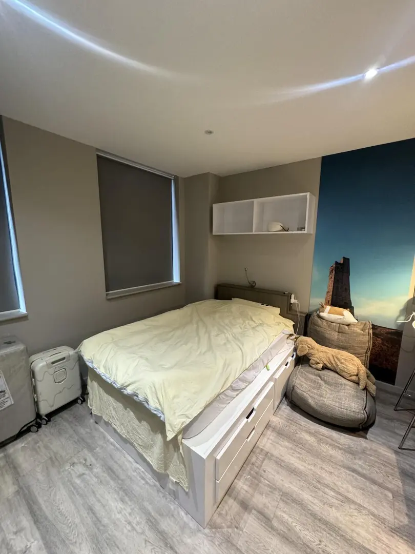 布里斯托三扇窗studio｜步行到布大、2xx