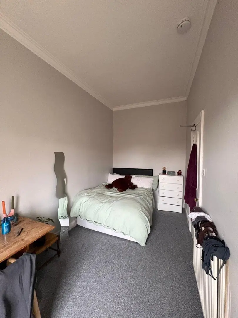 布里斯托拼室友、近新校区，包bill