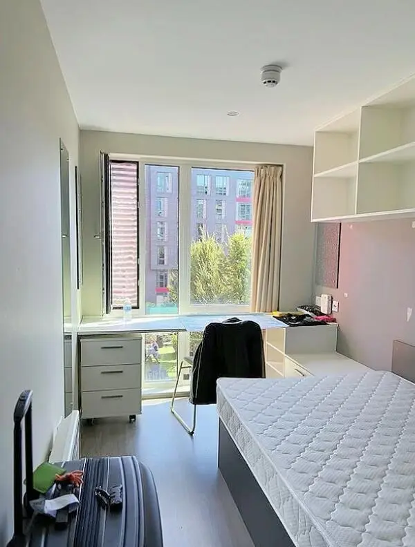 伦敦UCL找个室友 全🇨🇳 包bill