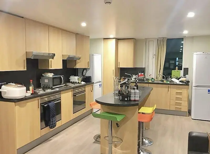 伦敦UCL找个室友 全🇨🇳 包bill