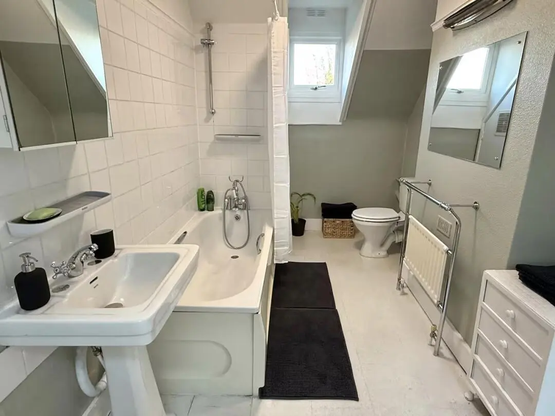 西伦敦转租阁楼 650可双人