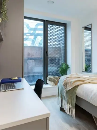 布里斯托ensuite 独立空间超绝采光 找室友