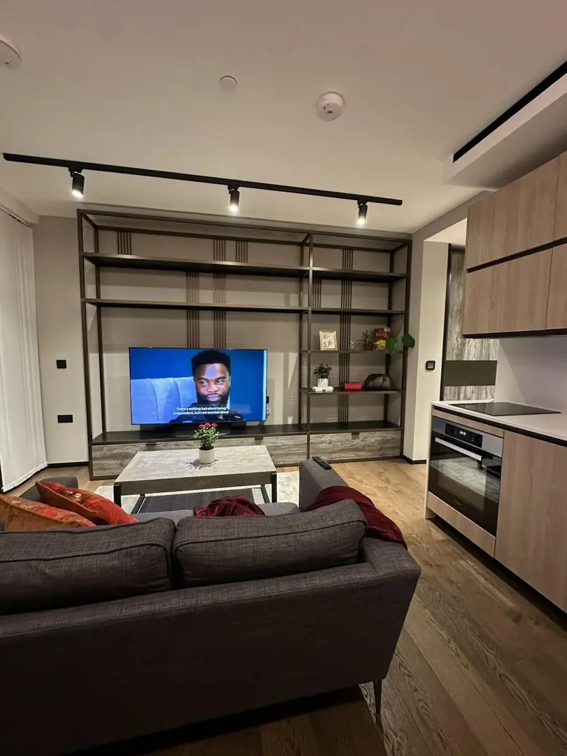 伦敦Zone1高级公寓出短租