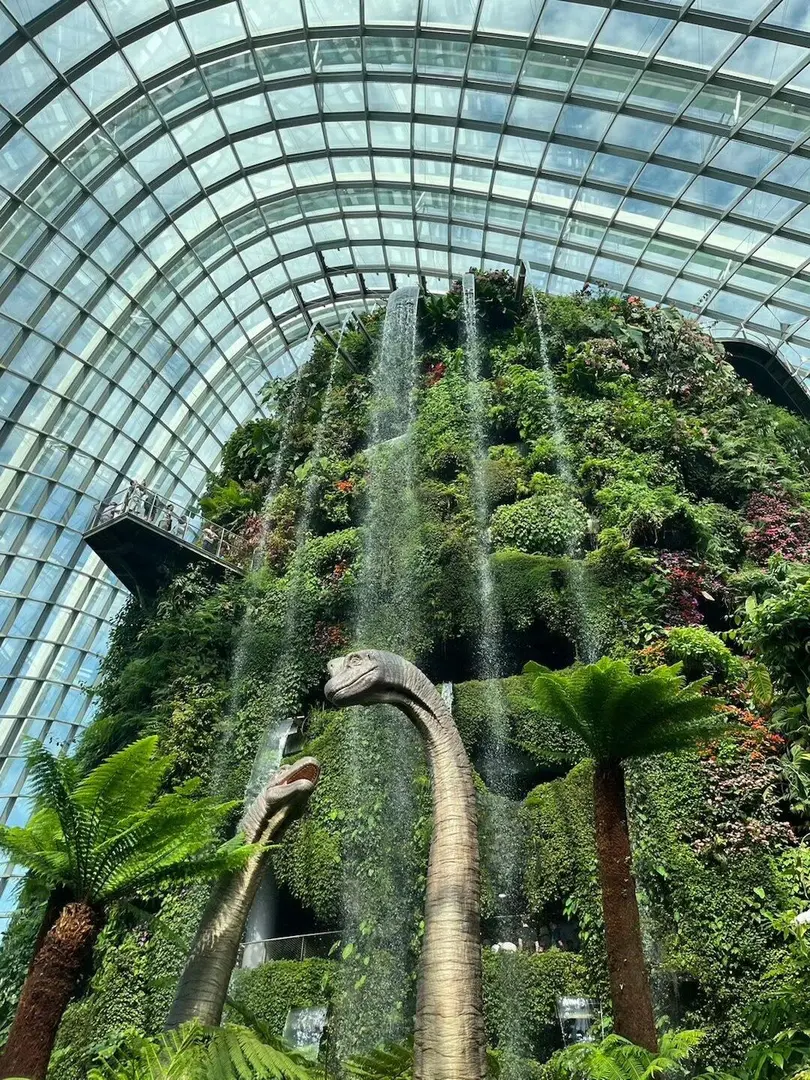 🇸🇬新加坡，闯入迷雾森林