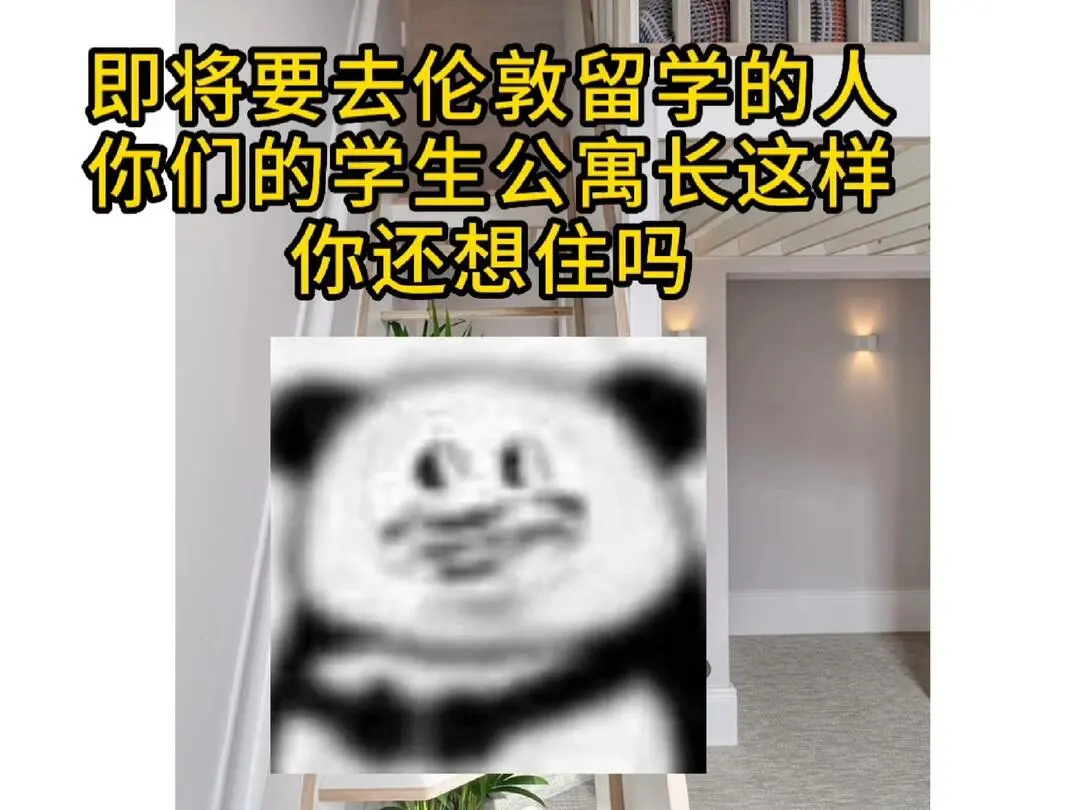 現在的留學生公寓都長這樣的嘛