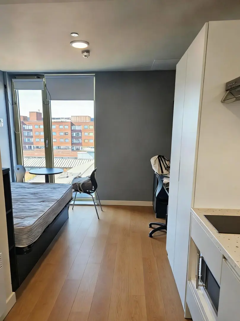 伦敦ucl附近转租300pw的studio，房东直租