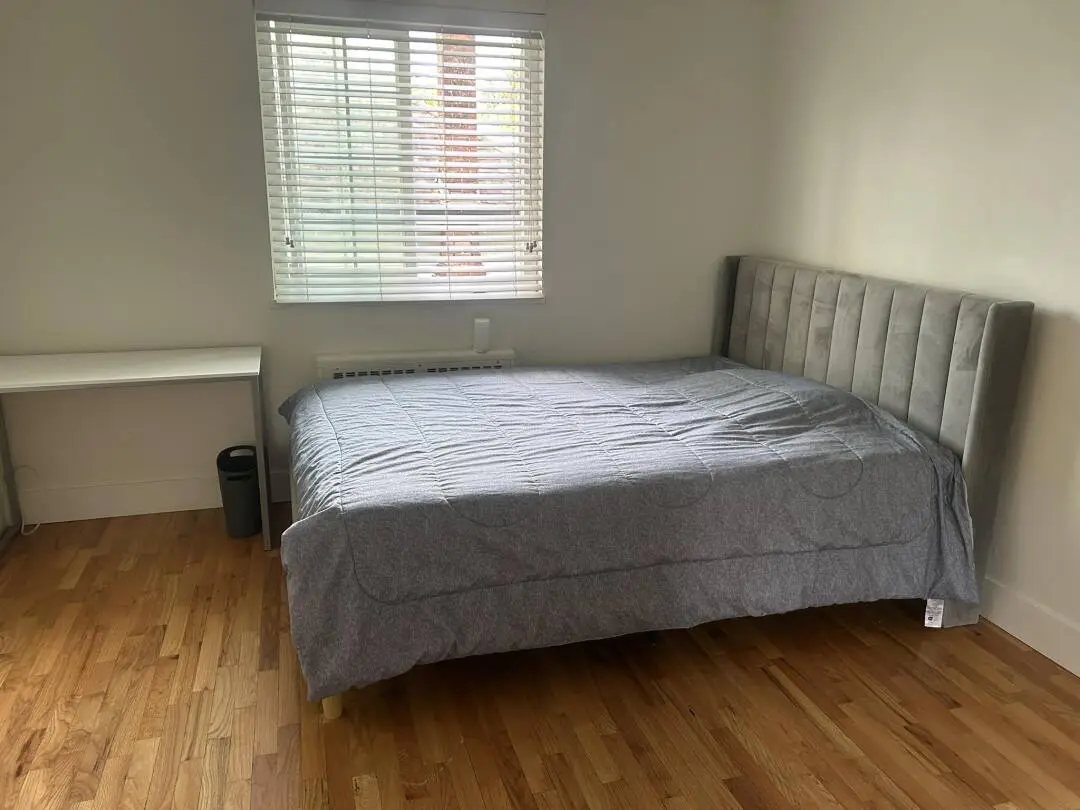 伦敦金丝雀帮房东姐姐找个租客 2b2b460