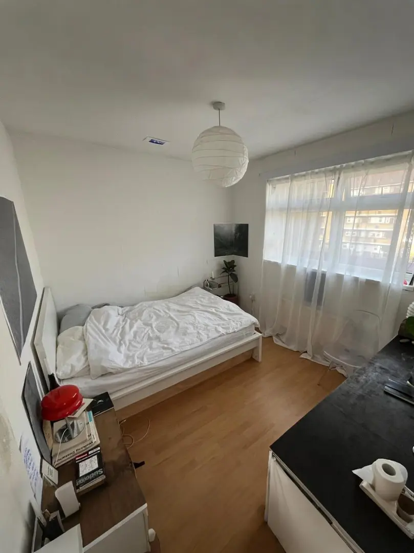 东伦敦拼室友，身份不限长租有🔪近ucl