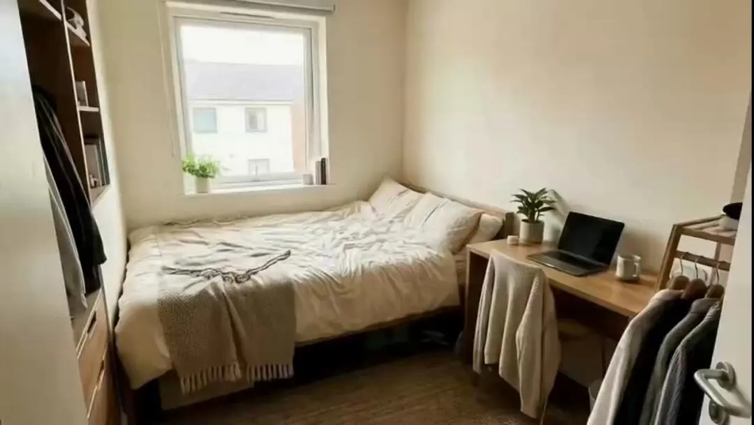 倫敦留學生公寓，步行可達多所名校🏛️