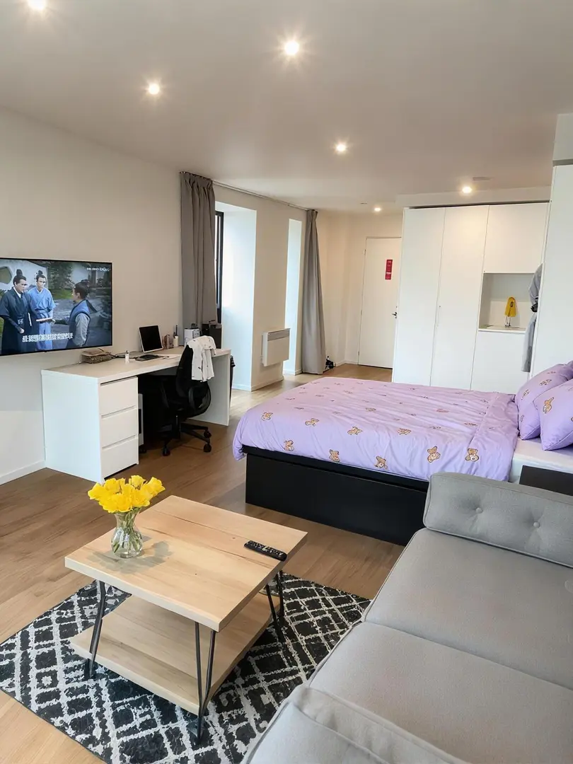 华威大学旁边2xx的studio，包bill有洗衣机