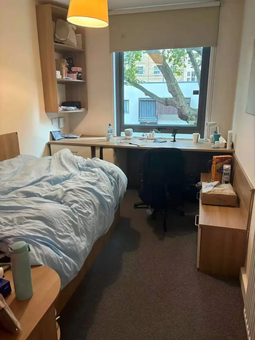 KCL/LSE找房的姐妹進！ 我住到夢中情房了