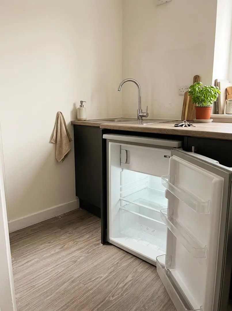 【新】倫敦UCL找室友！通勤不到20分🚆