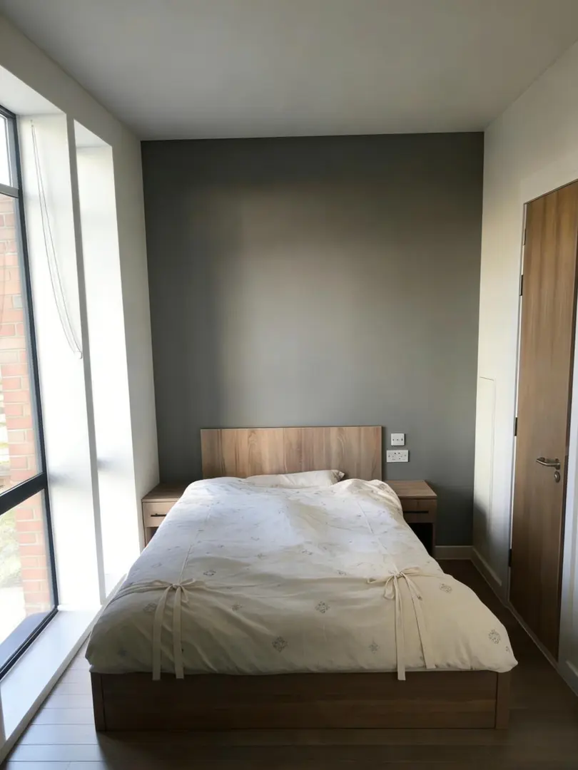 利兹大学旁转一间双窗studio，196pw包bills