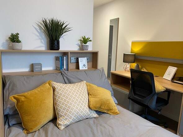 纽约大学学生公寓studytown——提供舒适、便捷的学生住宿选择