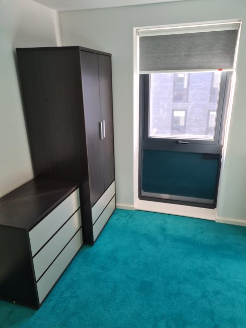 揭开布鲁克林的面纱：贫民区的真相