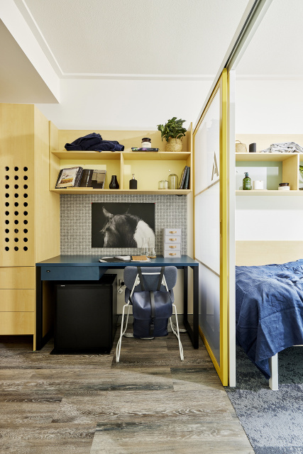 埃克塞特大学教育学院的校区分布与特色概览