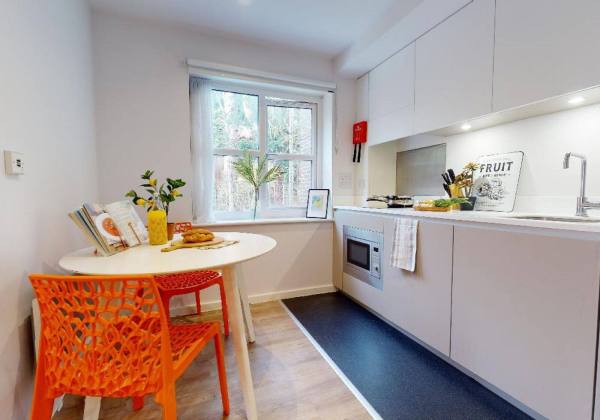 洛杉矶停车费揭秘:城市拥堵下的昂贵代价