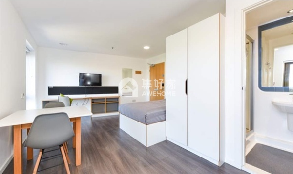 波士顿大学如何：一所顶尖教育机构的核心要素解析