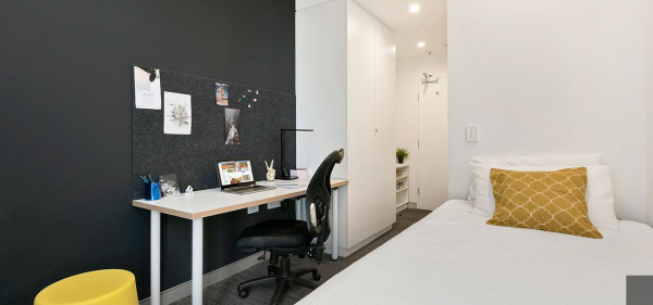 考上哈商大有多难？是不是就等于拥有学霸称号？