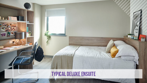 西交利物浦大学 租房 西交利物浦大学附近租房月租