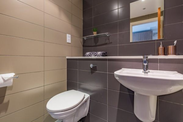 波顿大学:奋进追求卓越的知识殿堂