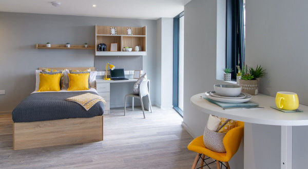 西新英格兰大学 美国新英格兰大学