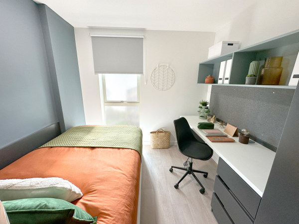 爱尔兰都柏林治安情况深度分析，了解真相才能做出明智选择