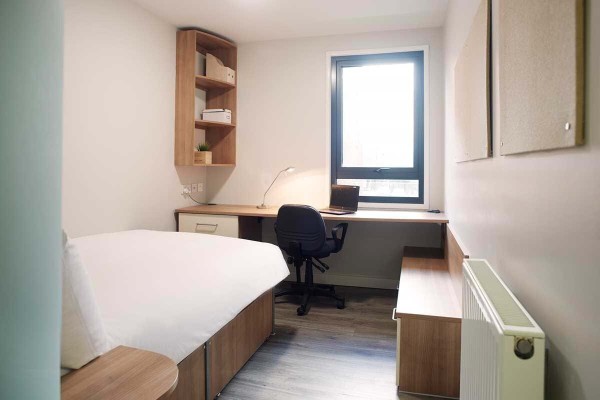 埃克塞特博物馆：探索历史的宝库