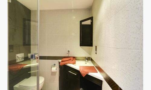 多伦多租房 | 多伦多大学附近租房有哪些注意事项