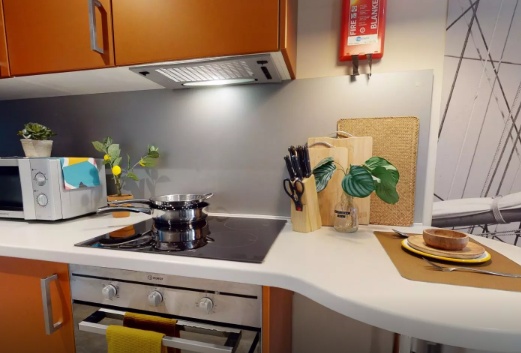 新加坡斯坦福国际学校附近租房 国际学校本科留学新加坡