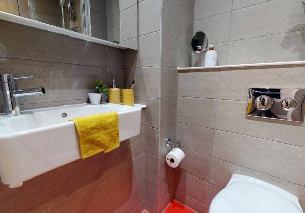 都柏林大学：探寻其优势与特点