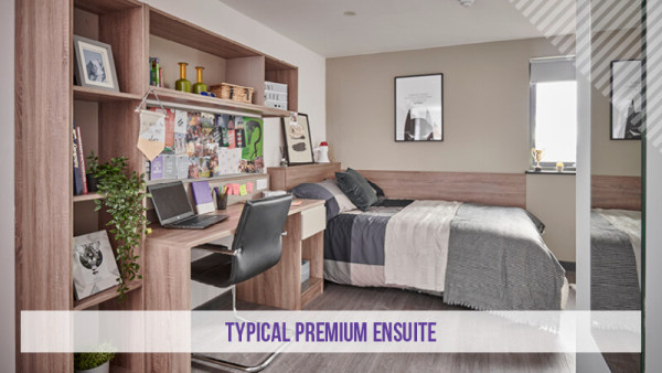 美国加州圣莫尼卡学院具体位置：留学胜地的璀璨明珠