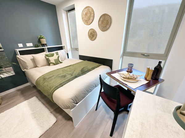 加州州立大学23所分校：探索加州高等教育的丰富多样